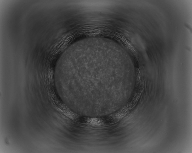 X0000097460565200803201429