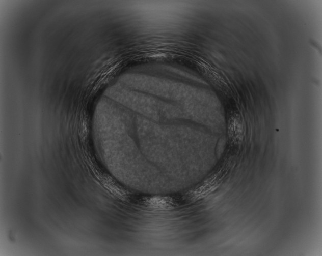 X0000097460566200803201429