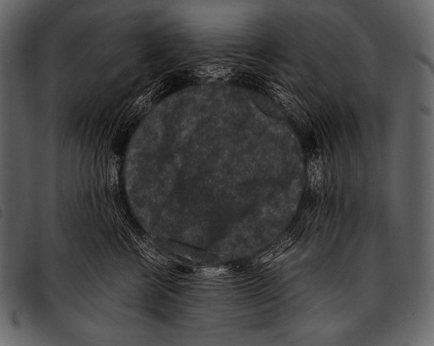 X0000097460570200803201429