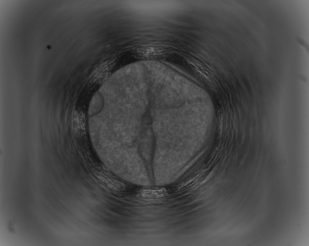 X0000097460571200803201429