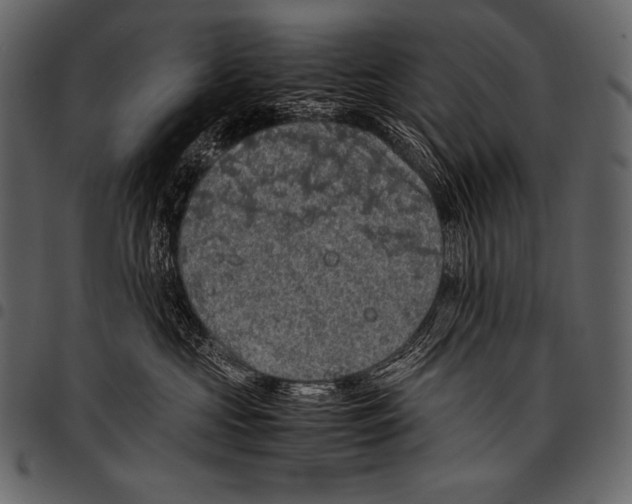 X0000097460573200803201429