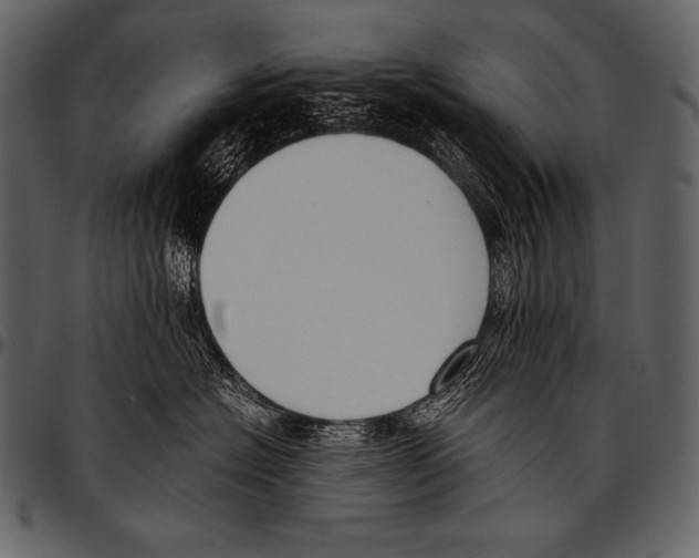 X0000097460574200803201429