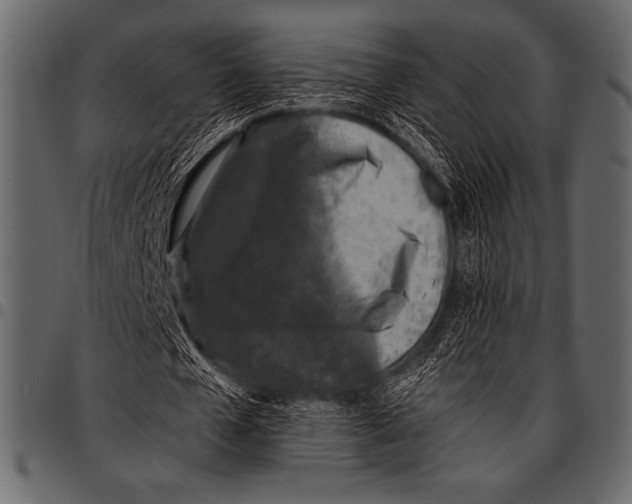 X0000097460577200803201428