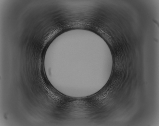 X0000097460578200803201428