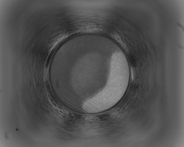 X0000097460579200803201428