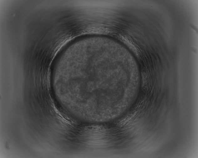 X0000097460580200803201428