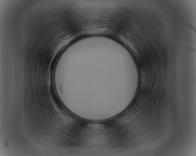 X0000097460582200803201428