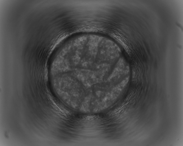 X0000097460584200803201428