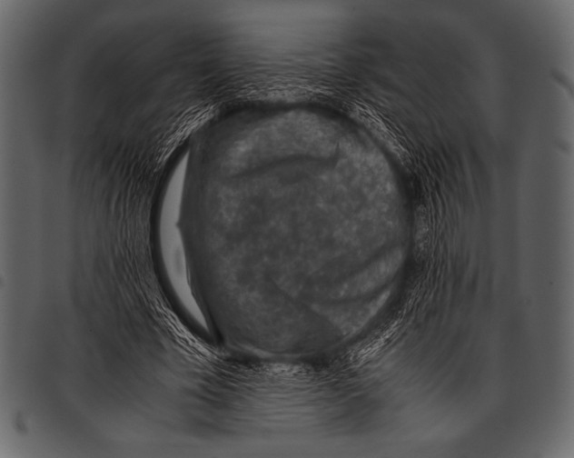 X0000097460585200803201428