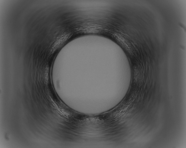 X0000097460586200803201428