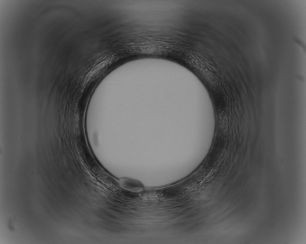 X0000097460587200803201428