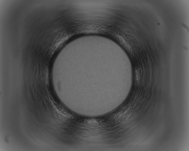 X0000097460588200803201428