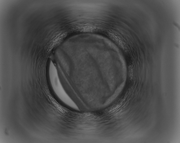 X0000097460589200803201428