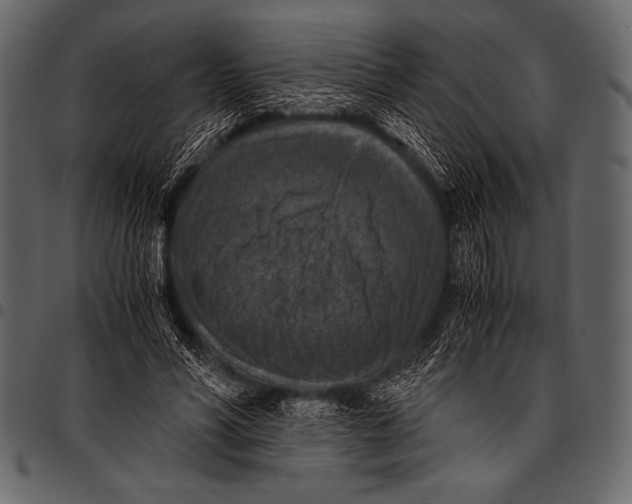 X0000097460590200803201428