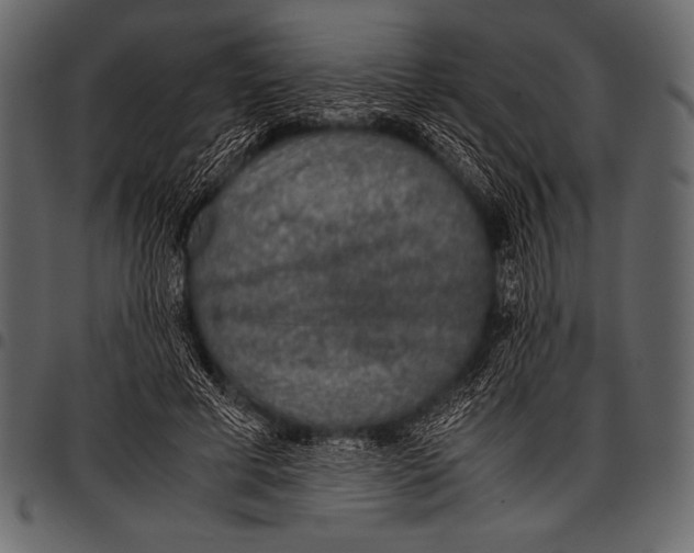 X0000097460593200803201428