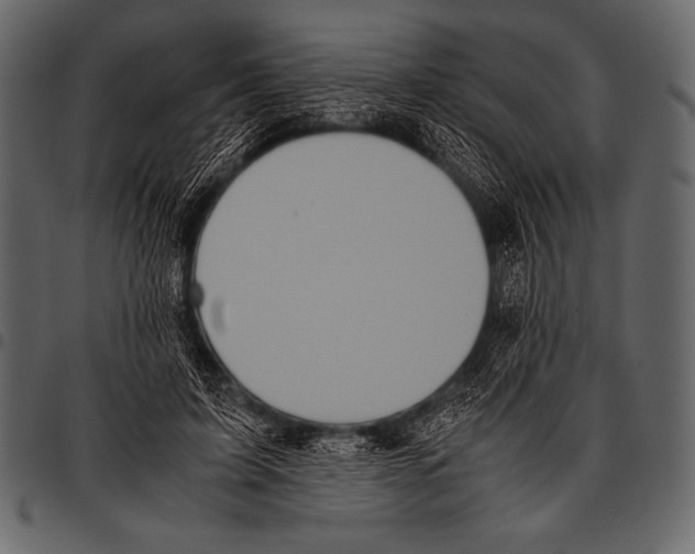 X0000097460595200803201428