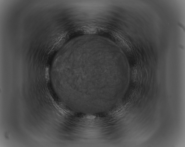 X0000097460598200803201428