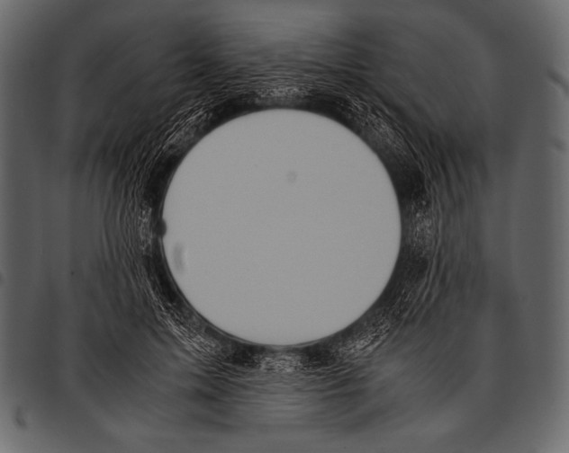 X0000097460599200803201428