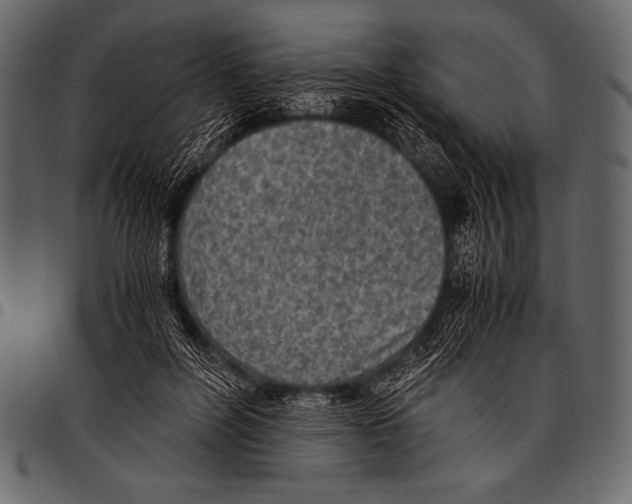 X0000097460600200803201428