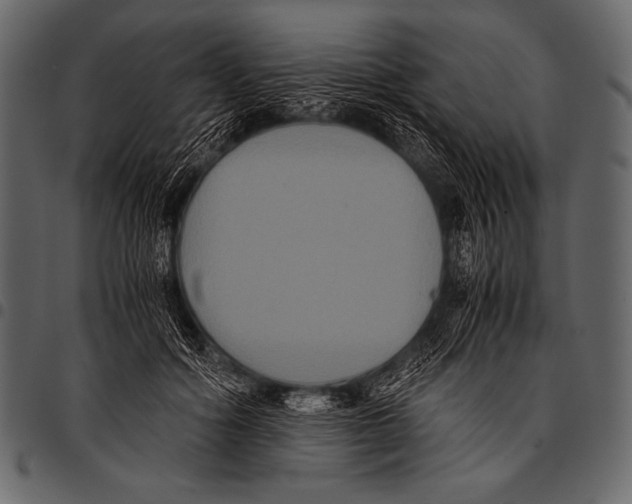 X0000097460602200803201428