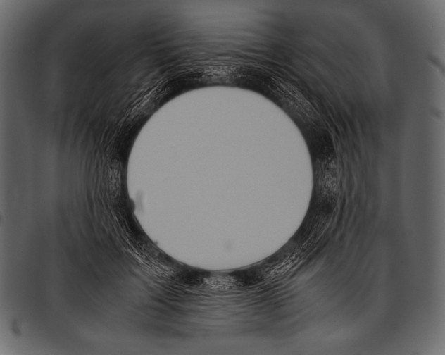 X0000097460603200803201428