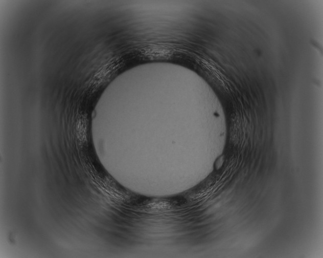 X0000097460604200803201428