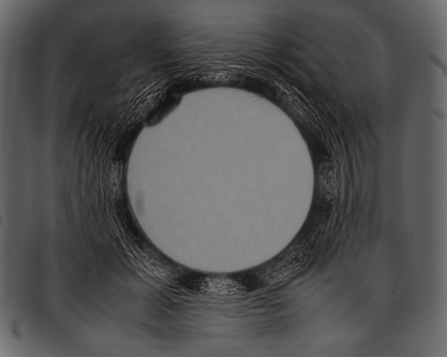 X0000097460605200803201428