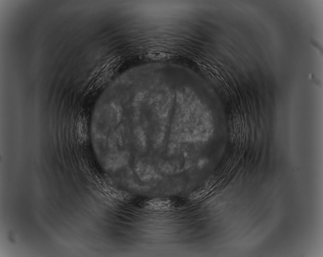 X0000097460606200803201428