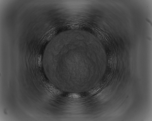 X0000097460610200803201428