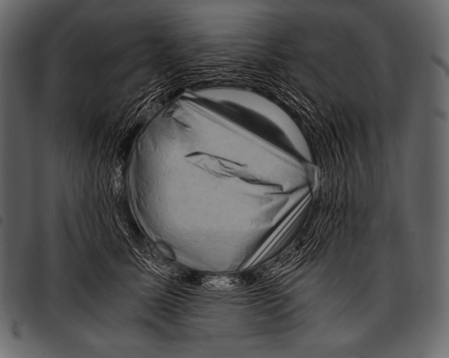 X0000097460611200803201428