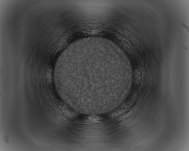 X0000097460612200803201428