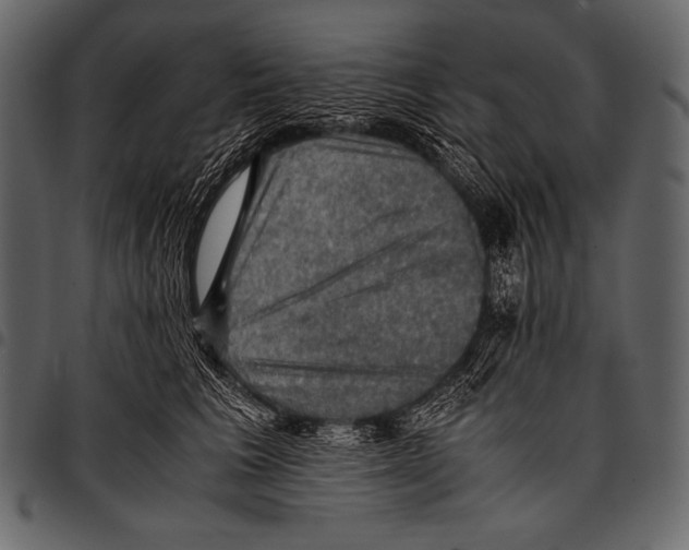 X0000097460613200803201428