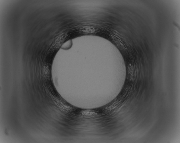 X0000097460614200803201428