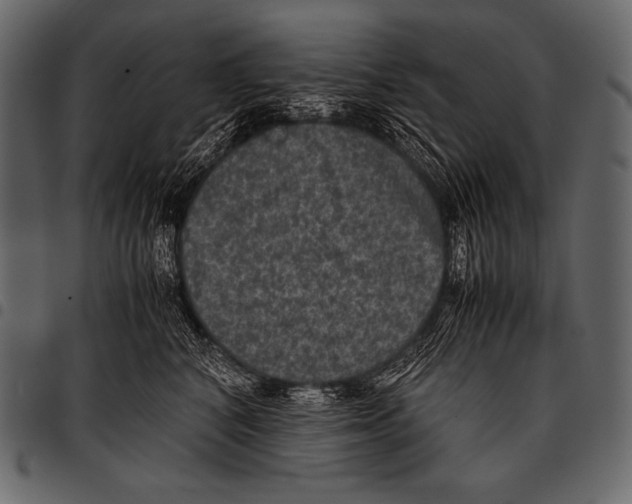 X0000097460616200803201427