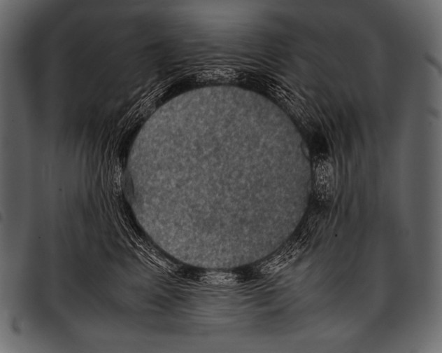 X0000097460617200803201427