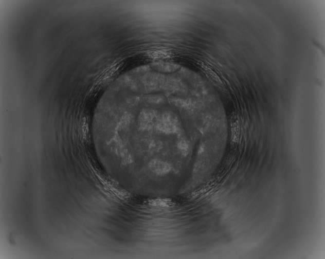 X0000097460618200803201427