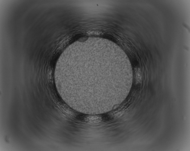 X0000097460619200803201427