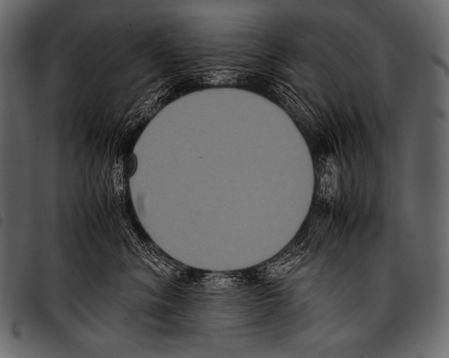 X0000097460620200803201427