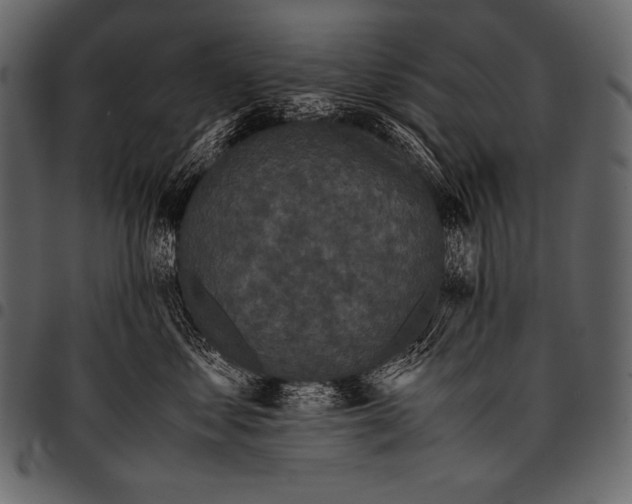 X0000097460621200803201427