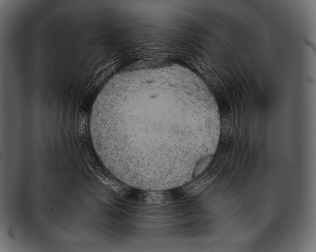 X0000097460623200803201427