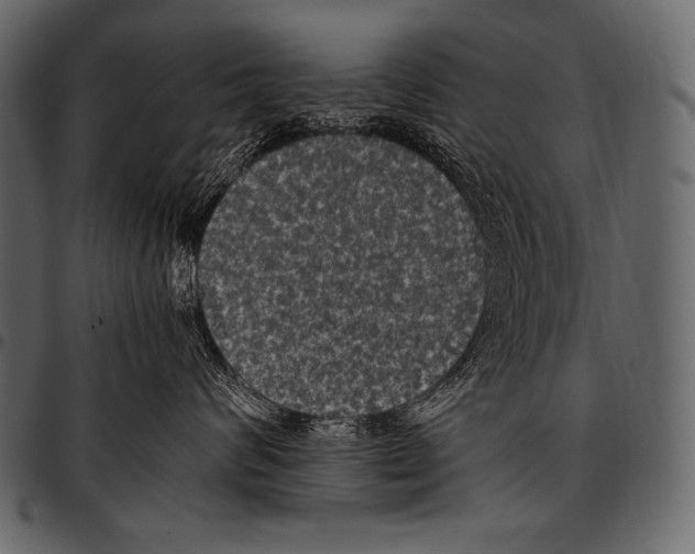 X0000097460624200803201427