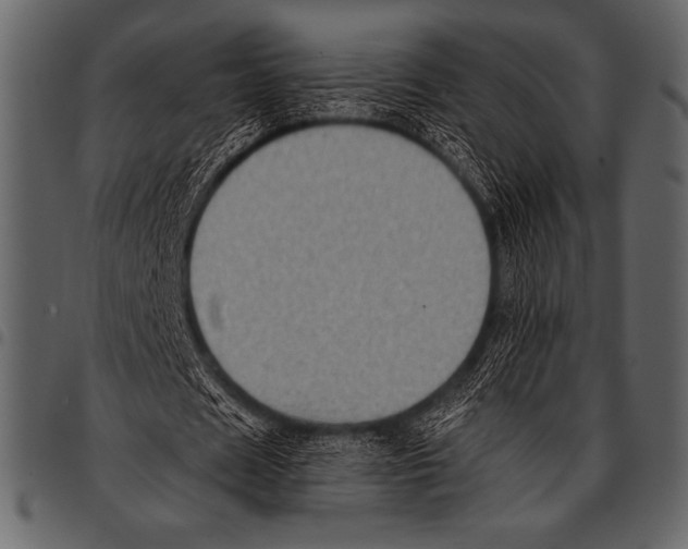 X0000097460625200803201427