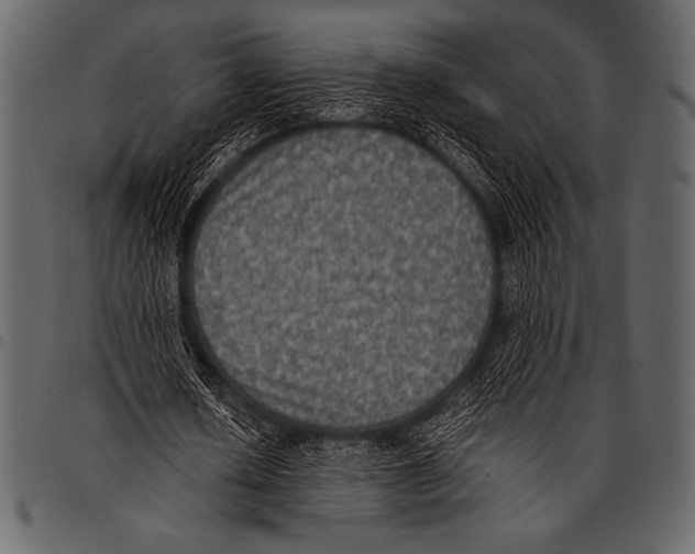 X0000097460626200803201427