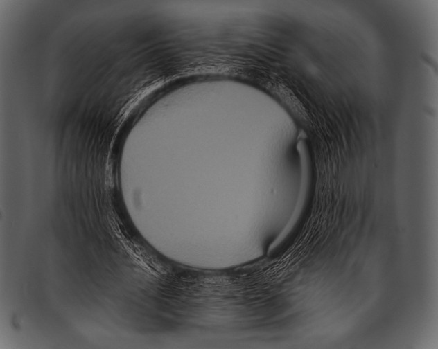 X0000097460628200803201427