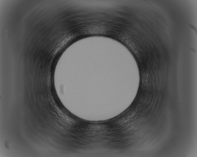 X0000097460629200803201427