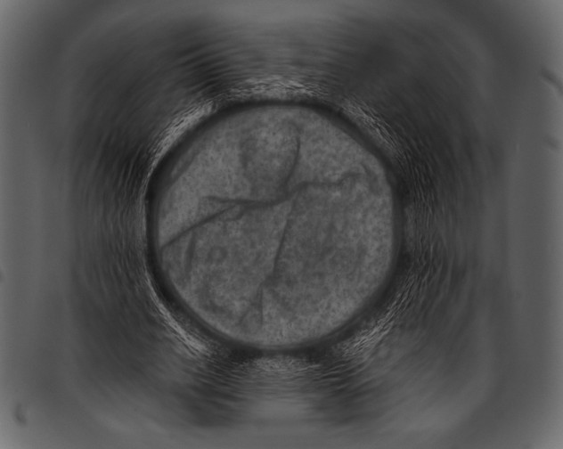 X0000097460630200803201427