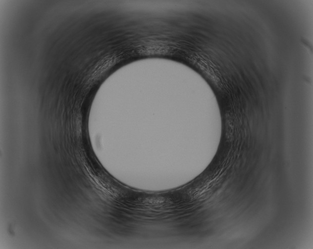 X0000097460631200803201427