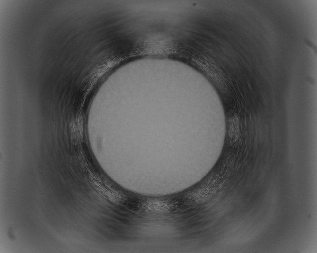 X0000097460632200803201427