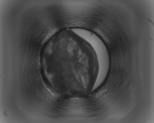 X0000097460634200803201427