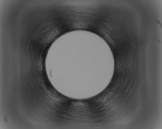 X0000097460635200803201427